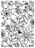Spectrum Noir Colorista Premium Marker Pad, Exquisite Florals fra Crafters Companion - Udsøgte blomster, malebog