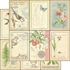Papir blok 12x12 mm fra Graphic 45 - Botanical Tea - Deluxe Collector's Edition