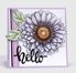 Stor blomst - Daisy - Cling stempel  fra Taylored Expressions - TEMD116