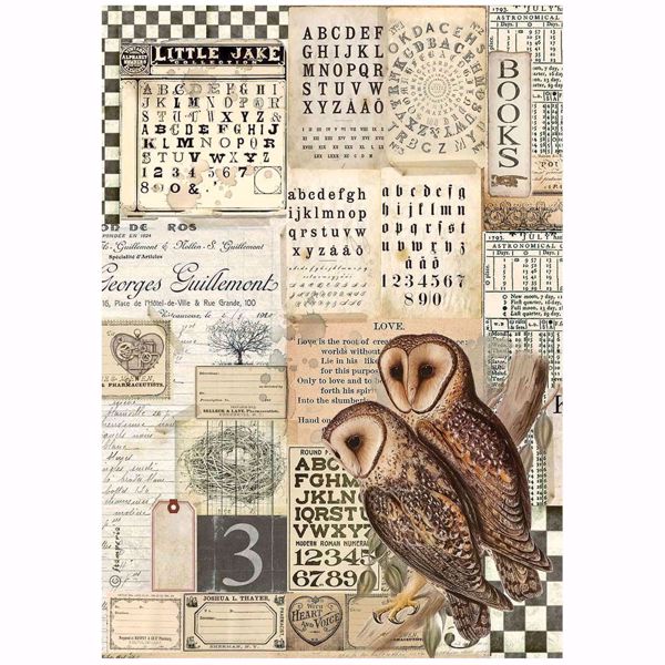 Stamperia Ris papir til decoupage scrapbooking og kort - DFSA4664 - Alchemy Owls