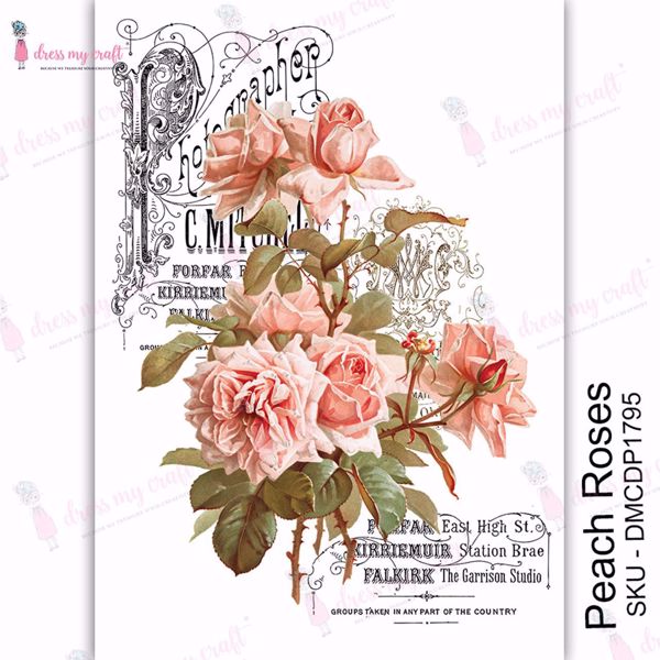 Peach Roses - A4 Transfer Me fra Dress My Craft - DMCDP1795 