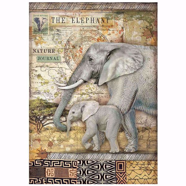 Stamperia Ris papir til decoupage scrapbooking og kort - DFSA4684 - Savana The Elephant